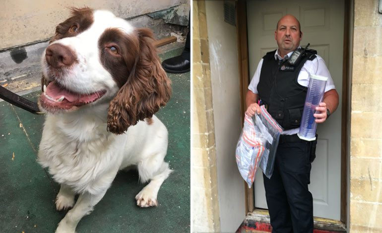 Drug dog Marley and PS Steve Davey with evidence from the raid