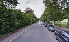 Weston Road to be temporarily closed for two days due to essential tree felling