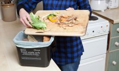 All homes in B&NES now able to recycle their food waste weekly