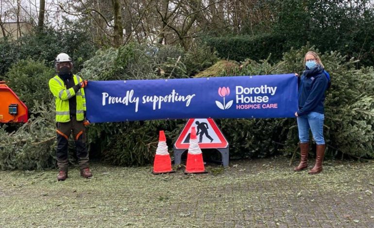 Local charity Dorothy House’s Christmas tree collection service returns