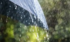 Yellow weather warning issued with rain and strong winds expected