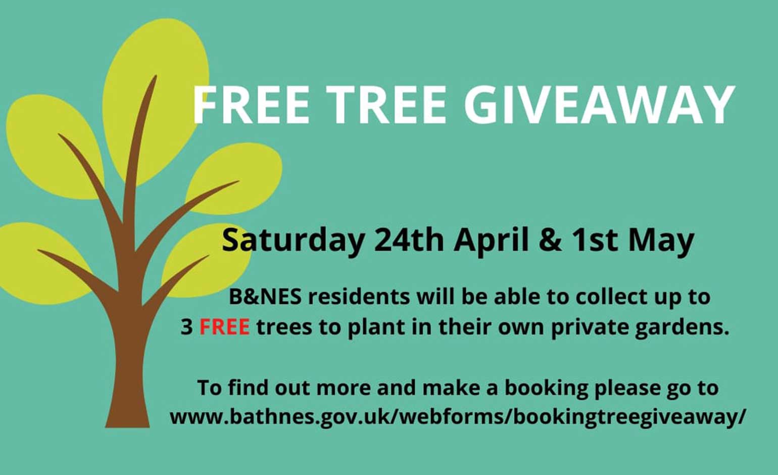Free trees being given away to residents as part of drive to increase