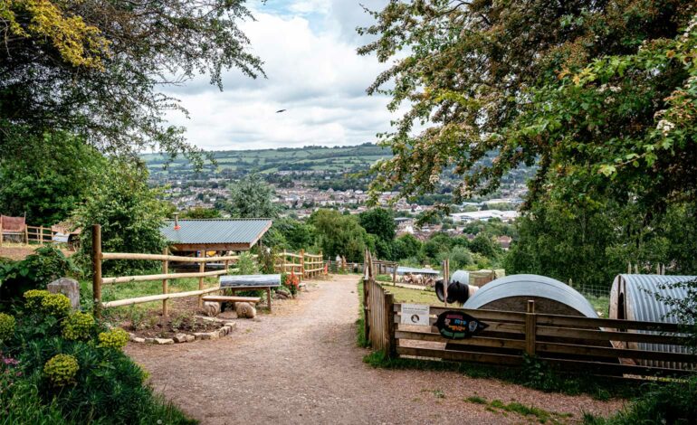 Bath City Farm set to expand opening hours to include Sundays