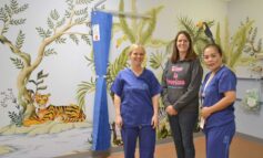 New mural helps to reassure young surgery patients at RUH