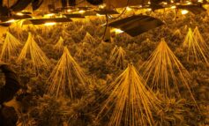 'Sophisticated’ cannabis factory discovered in abandoned building
