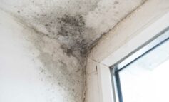 Social housing providers encouraged to sign new mould charter