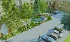 New wellbeing garden at Bath hospital set to provide “sanctuary”