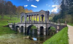 Nine disease-affected ash trees at Prior Park facing the chop