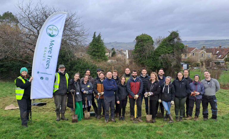 Bath-based housing association Curo plants almost 1,000 trees