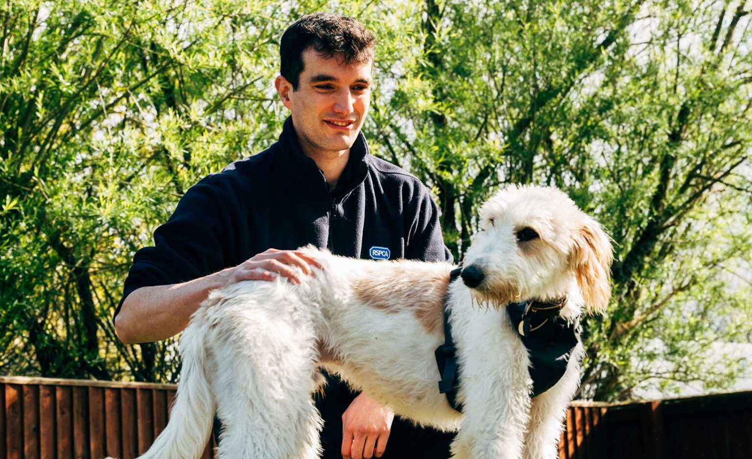 A big thank you to animal lovers from Bath Cats and Dogs Home Bath Echo