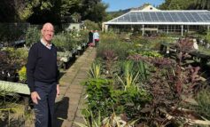 Popular Bath garden centre celebrates its golden anniversary