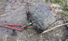 Appeal launched after dog tied to weight and drowned in Bath