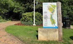 ‘Terrifying’ dog attack in park after it escapes from nearby home