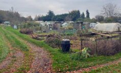 Landowner seeking £1.4 million for Combe Down allotment site