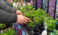 Popular garden centre sold to another family-run company