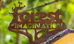 Popular Forest of Imagination festival returns to Bath this week