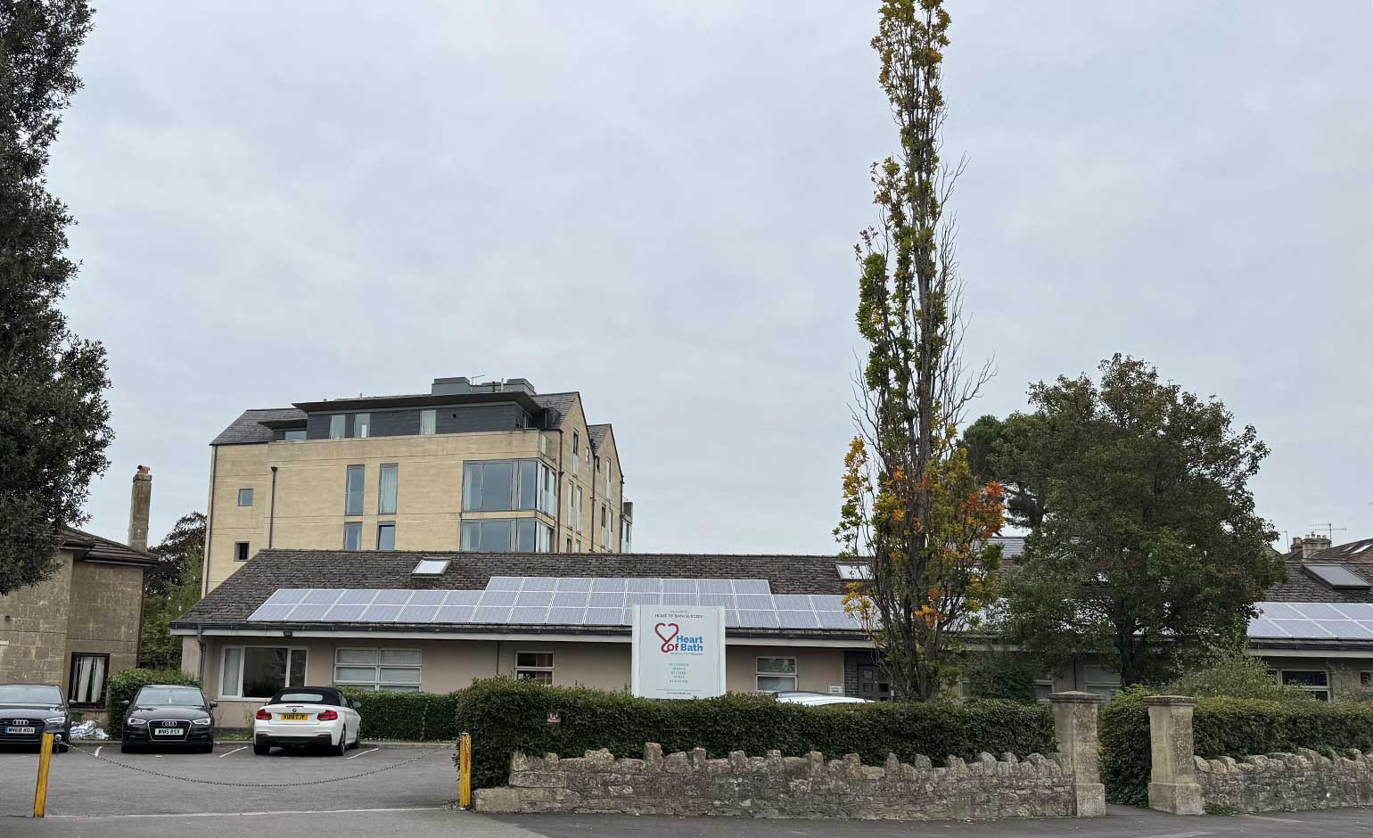 Bid to fell protected tree to create more parking at city GP surgery