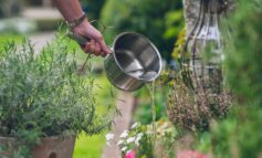 Residents praised for saving water during one of driest ever summers