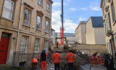 Couple say they are “very lucky” after tree comes down in city centre