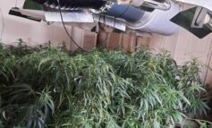 Police dismantling suspected cannabis factory at disused hotel