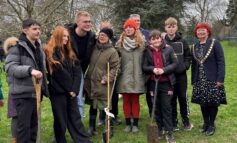 Special Sycamore Gap tree sapling is planted in Bath’s Alice Park
