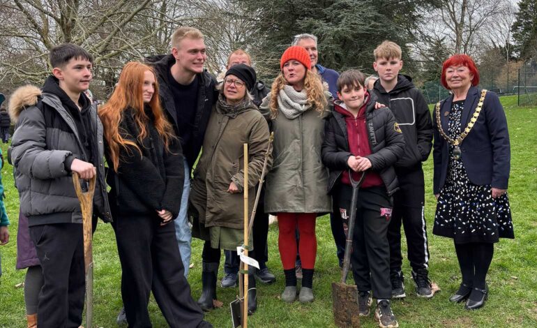 Special Sycamore Gap tree sapling is planted in Bath’s Alice Park