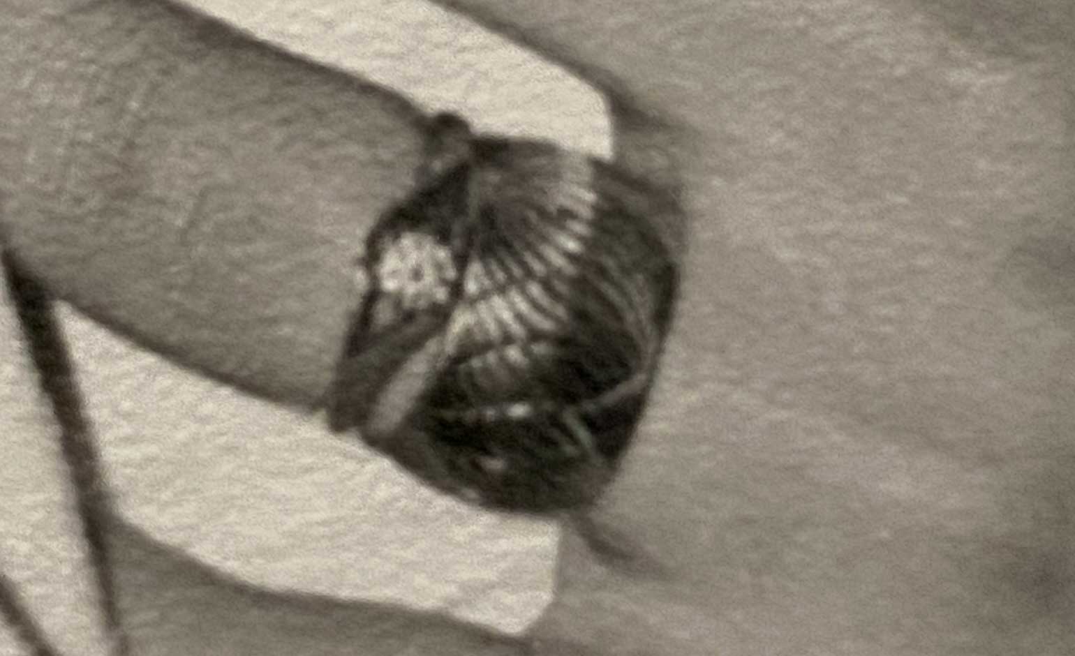 Appeal after distinctive ring stolen during burglary at home near Bath