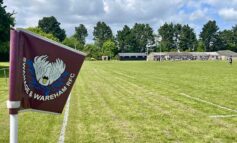 Make-or-break time for Walcot after excellent win over Swans