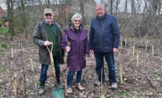 Community effort to plant hundreds of new trees in Keynsham wood