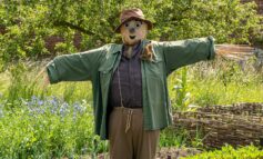 Children’s books theme announced for village’s first ever scarecrow trail