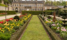 Dyrham Park’s tulip display returns with art and spring events