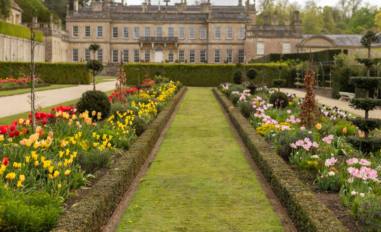 Dyrham Park’s tulip display returns with art and spring events