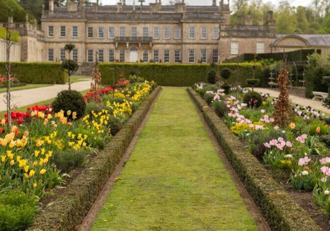 Photo © National Trust Images / James Beck